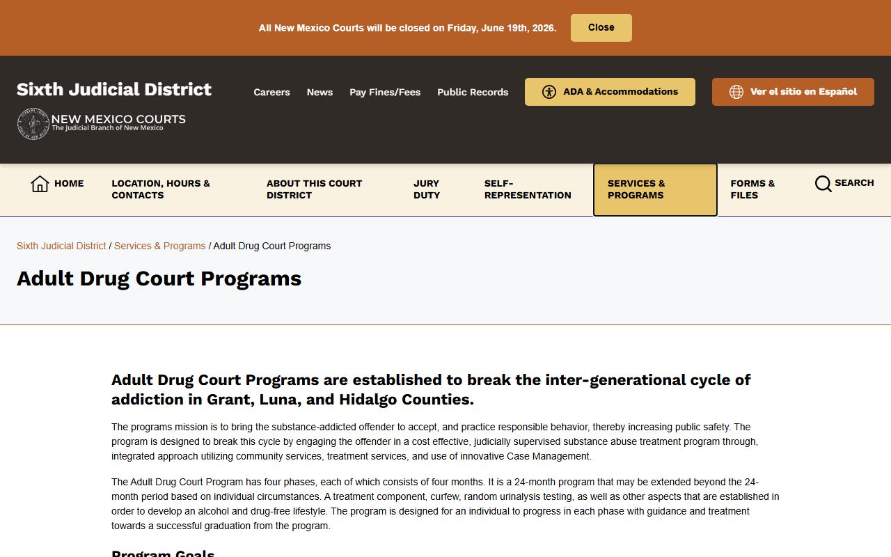 Luna County criminal court records and Adult Drug Court program information